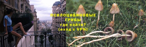 дурь Волосово