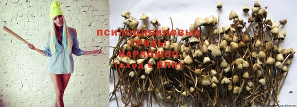 кокс Волоколамск