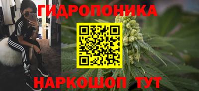 прущая мука Лесосибирск