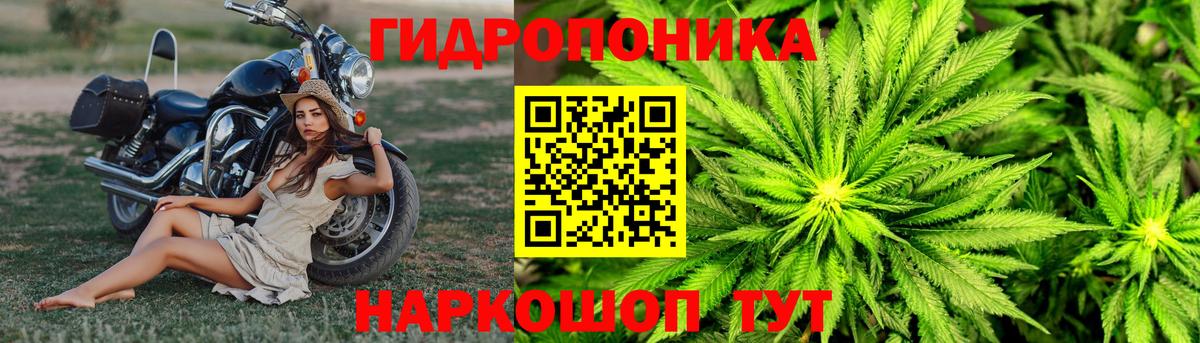 Бошки марихуана THC 21% Елец